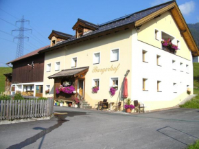 Burgerhof, Pettneu Am Arlberg